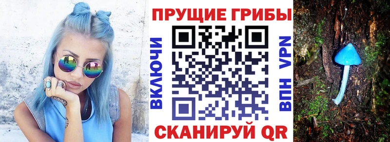 Галлюциногенные грибы ЛСД  Володарск 